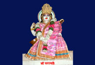 श्री वार्ष्णेय मंदिर के श्रीविग्रह दर्शन 11