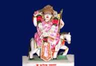 श्री वार्ष्णेय मंदिर के श्रीविग्रह दर्शन 7